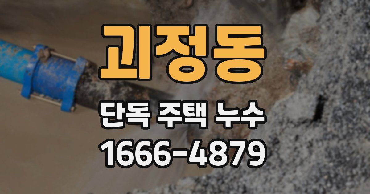 괴정동 단독 주택 누수