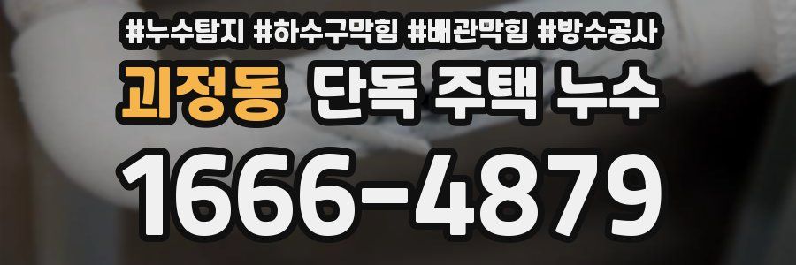 괴정동 단독 주택 누수