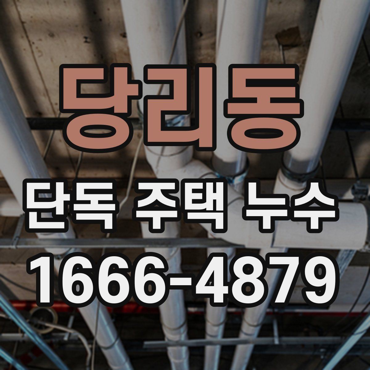 당리동 단독 주택 누수 정밀 진단이 필요한 대표 사례