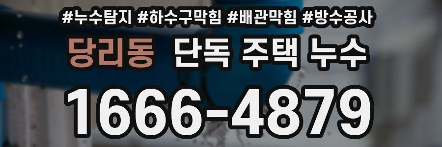당리동 단독 주택 누수