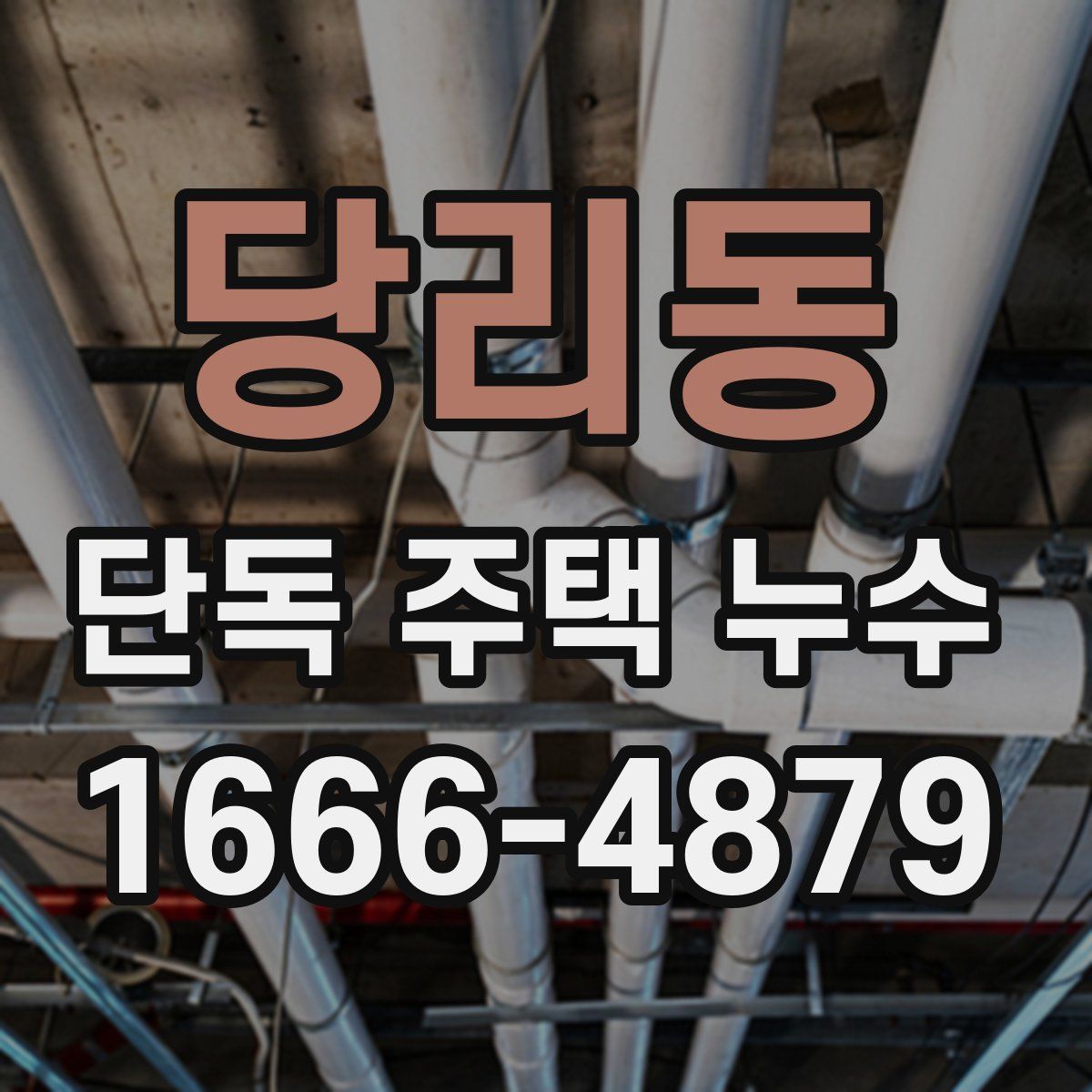 당리동 단독 주택 누수