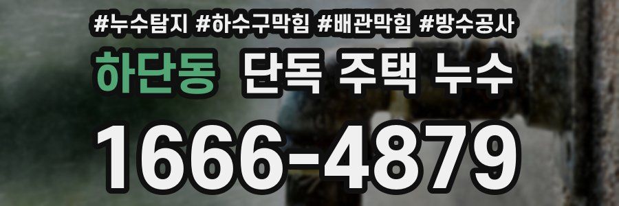 하단동 단독 주택 누수
