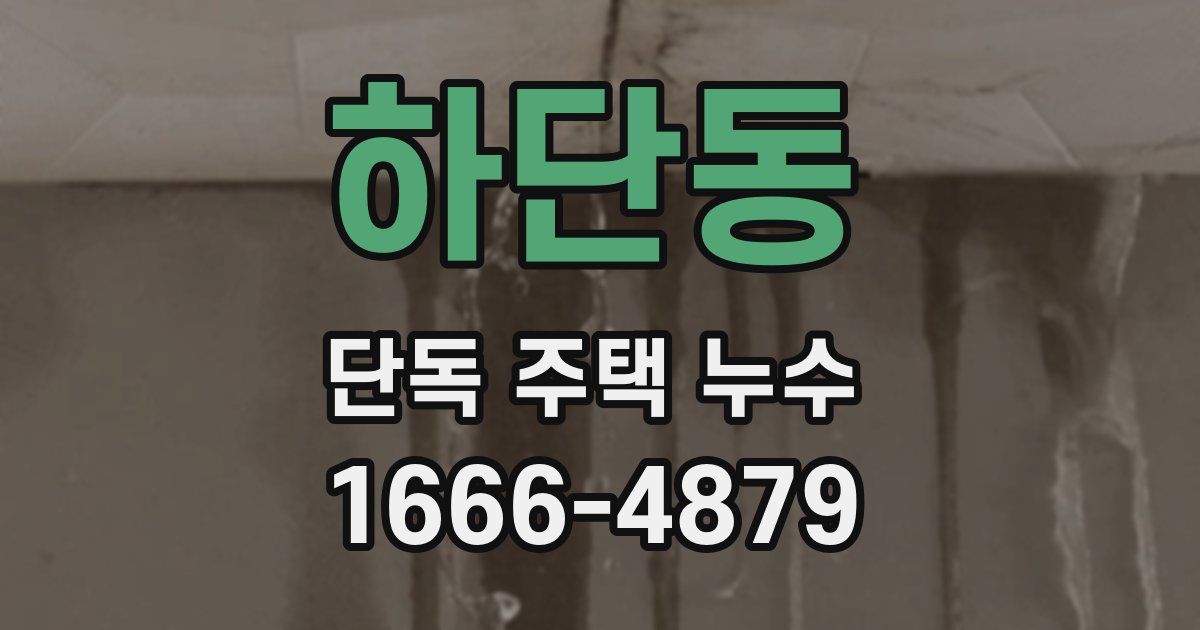 하단동 단독 주택 누수