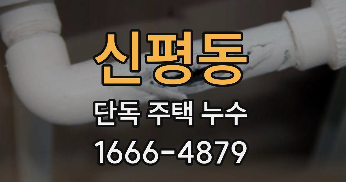 신평동 단독 주택 누수