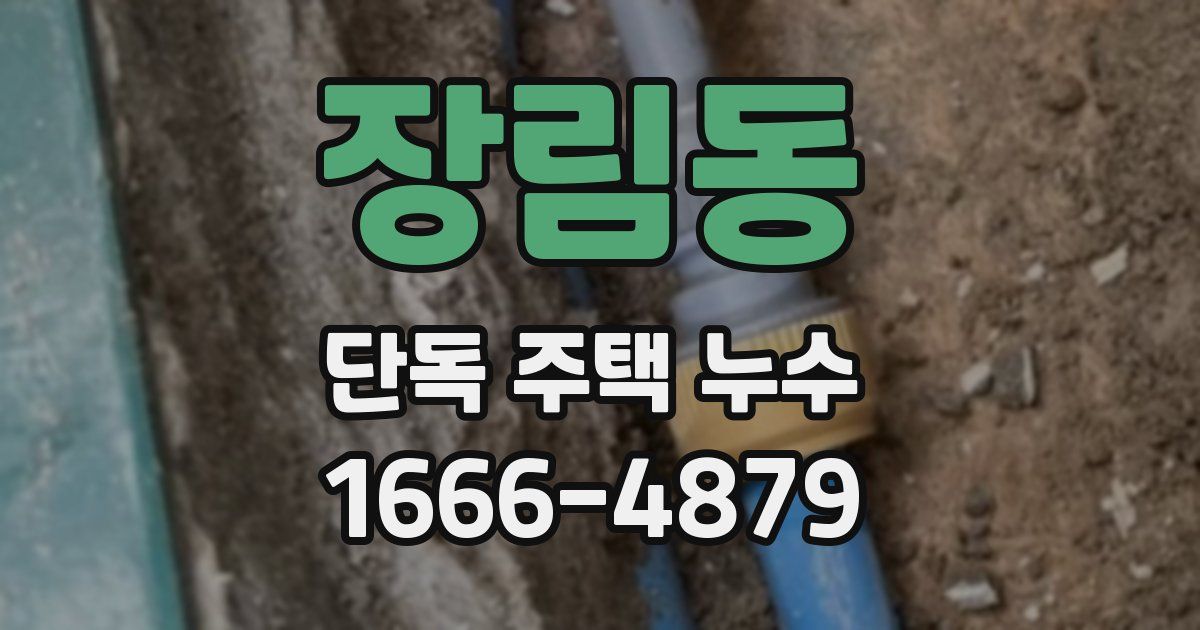 장림동 단독 주택 누수