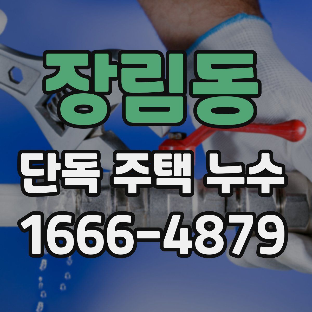 장림동 단독 주택 누수