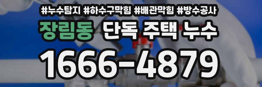 장림동 단독 주택 누수