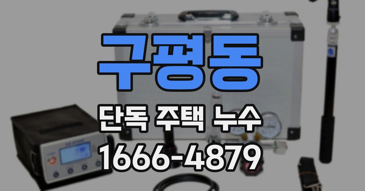 구평동 단독 주택 누수