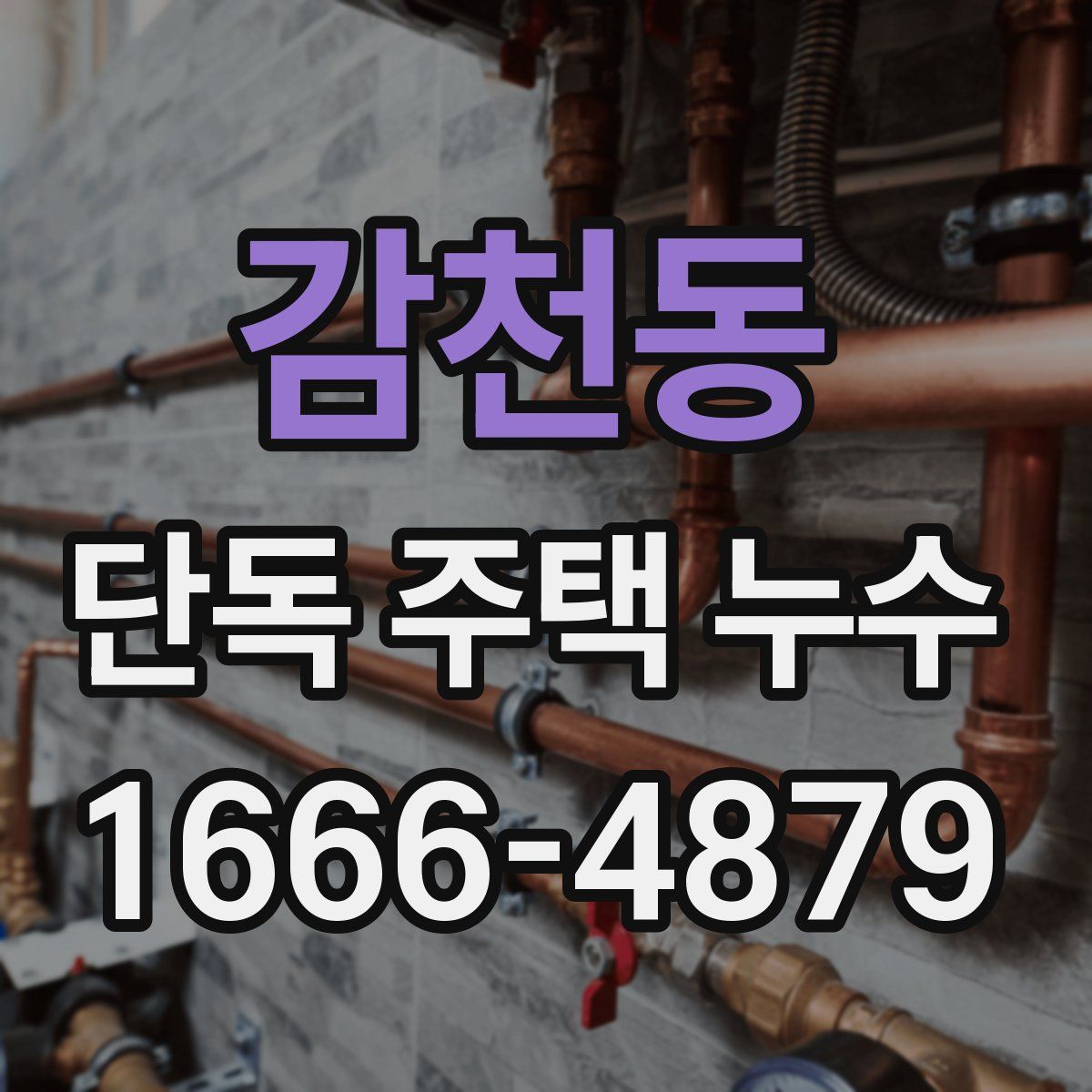 감천동 단독 주택 누수