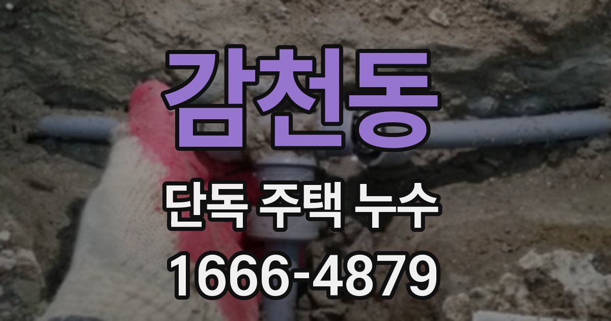 감천동 단독 주택 누수