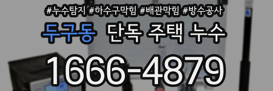 두구동 단독 주택 누수