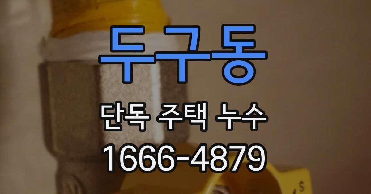 두구동 단독 주택 누수