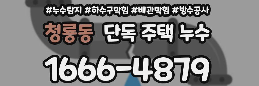 청룡동 단독 주택 누수