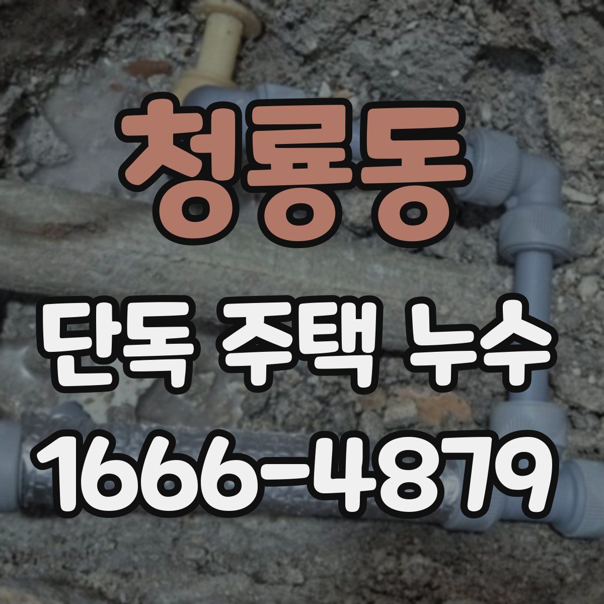 청룡동 단독 주택 누수