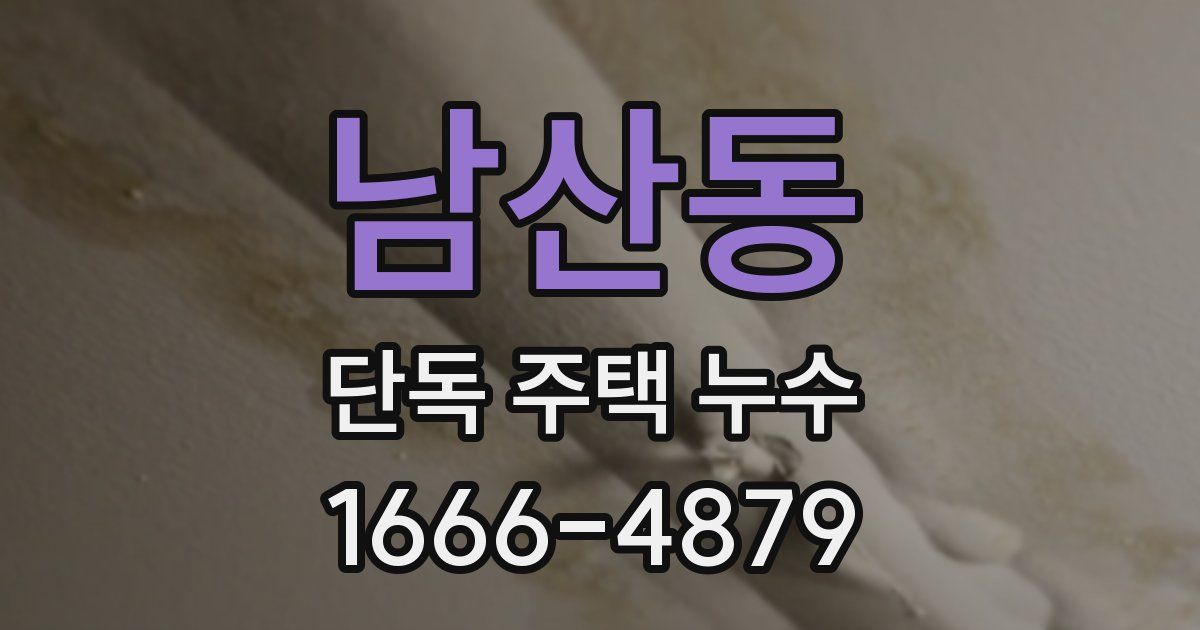 남산동 단독 주택 누수