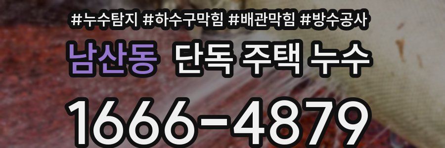 남산동 단독 주택 누수