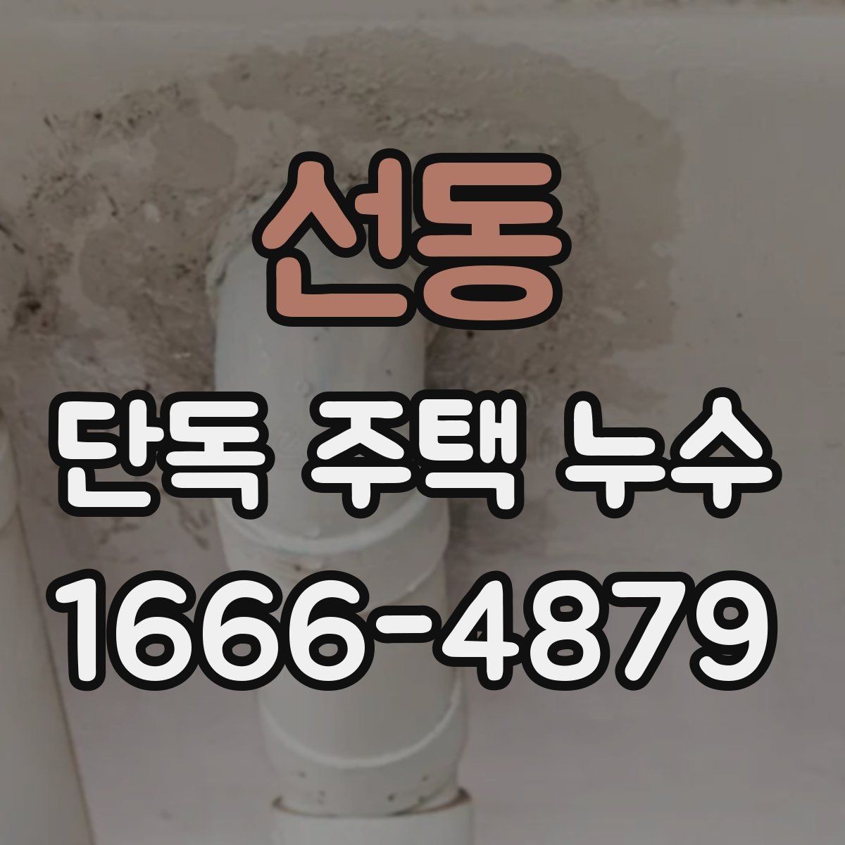 선동 단독 주택 누수 방수층 손상 여부를 확인하는 법