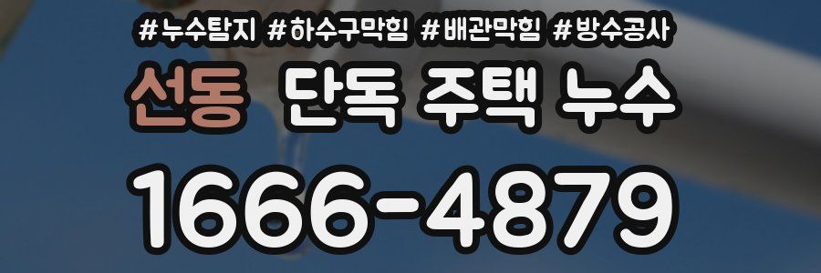 선동 단독 주택 누수