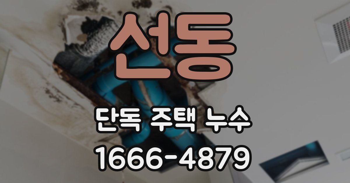 선동 단독 주택 누수