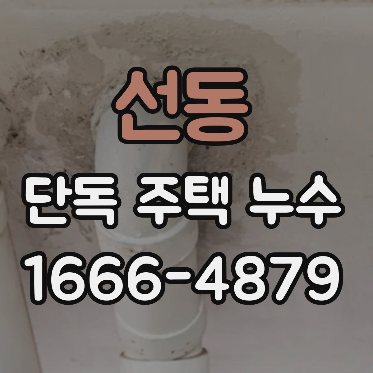 선동 단독 주택 누수