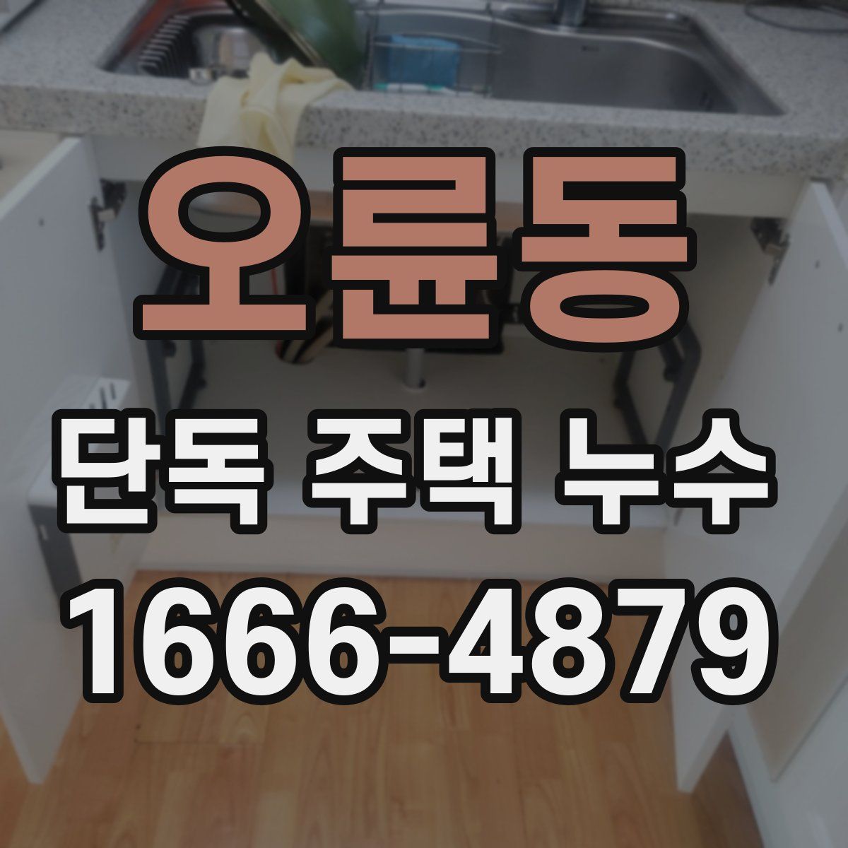 오륜동 단독 주택 누수