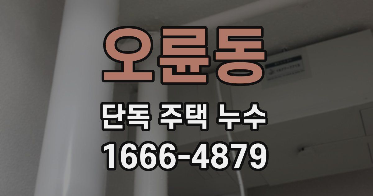 오륜동 단독 주택 누수