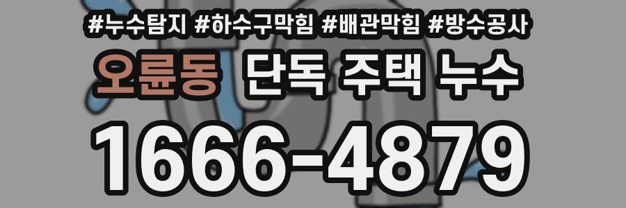 오륜동 단독 주택 누수
