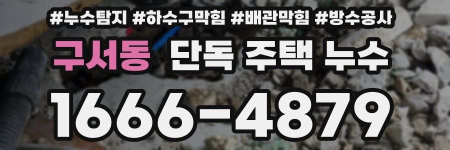 구서동 단독 주택 누수