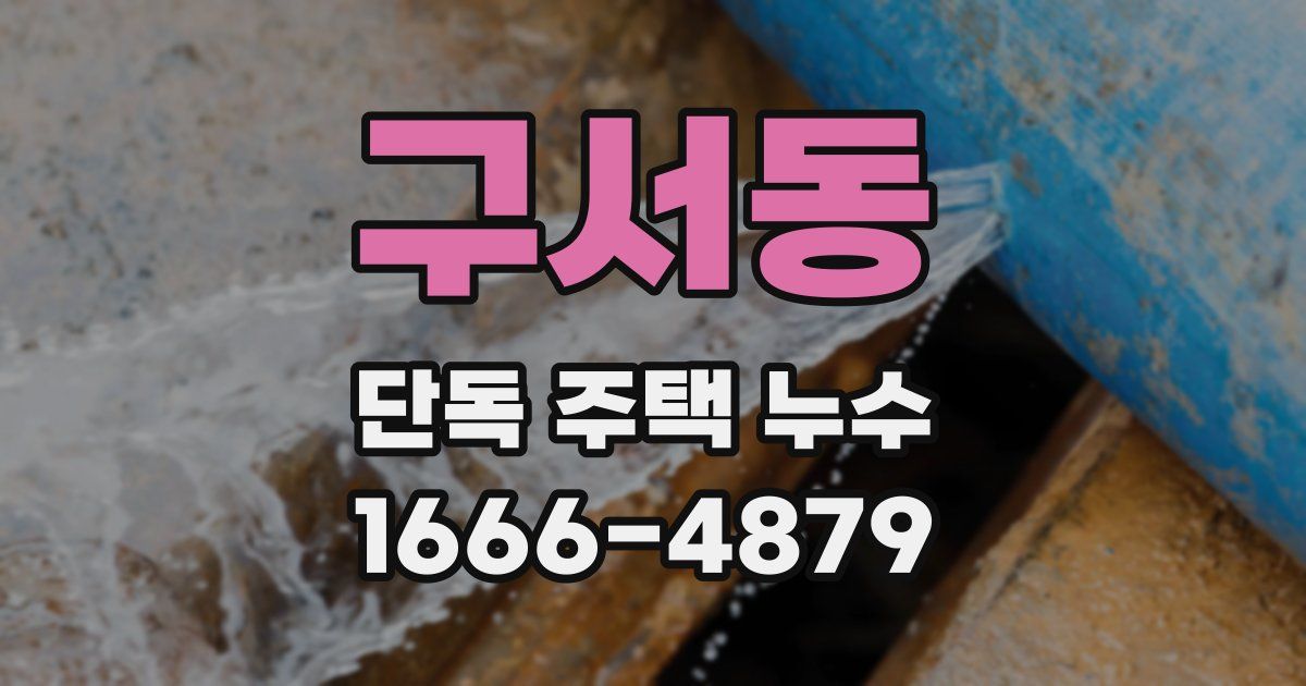 구서동 단독 주택 누수