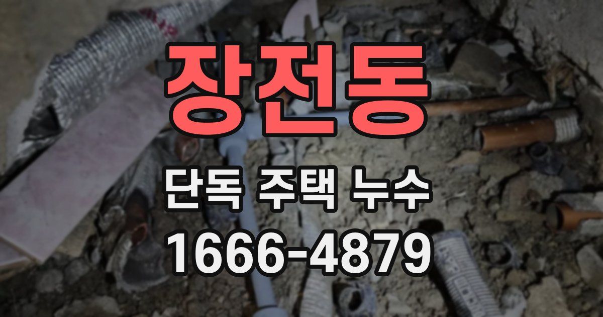 장전동 단독 주택 누수