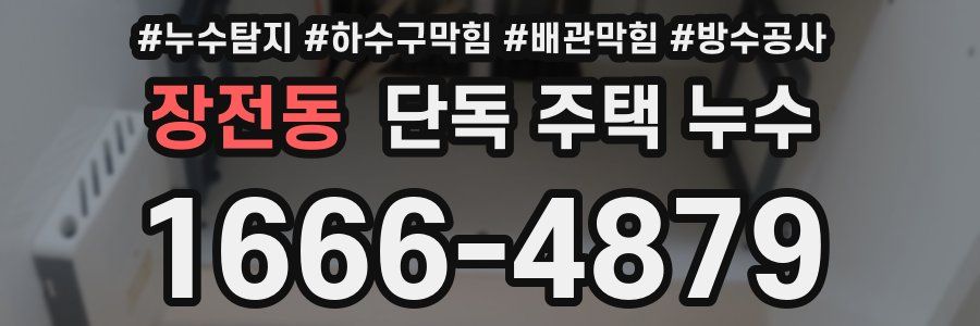 장전동 단독 주택 누수