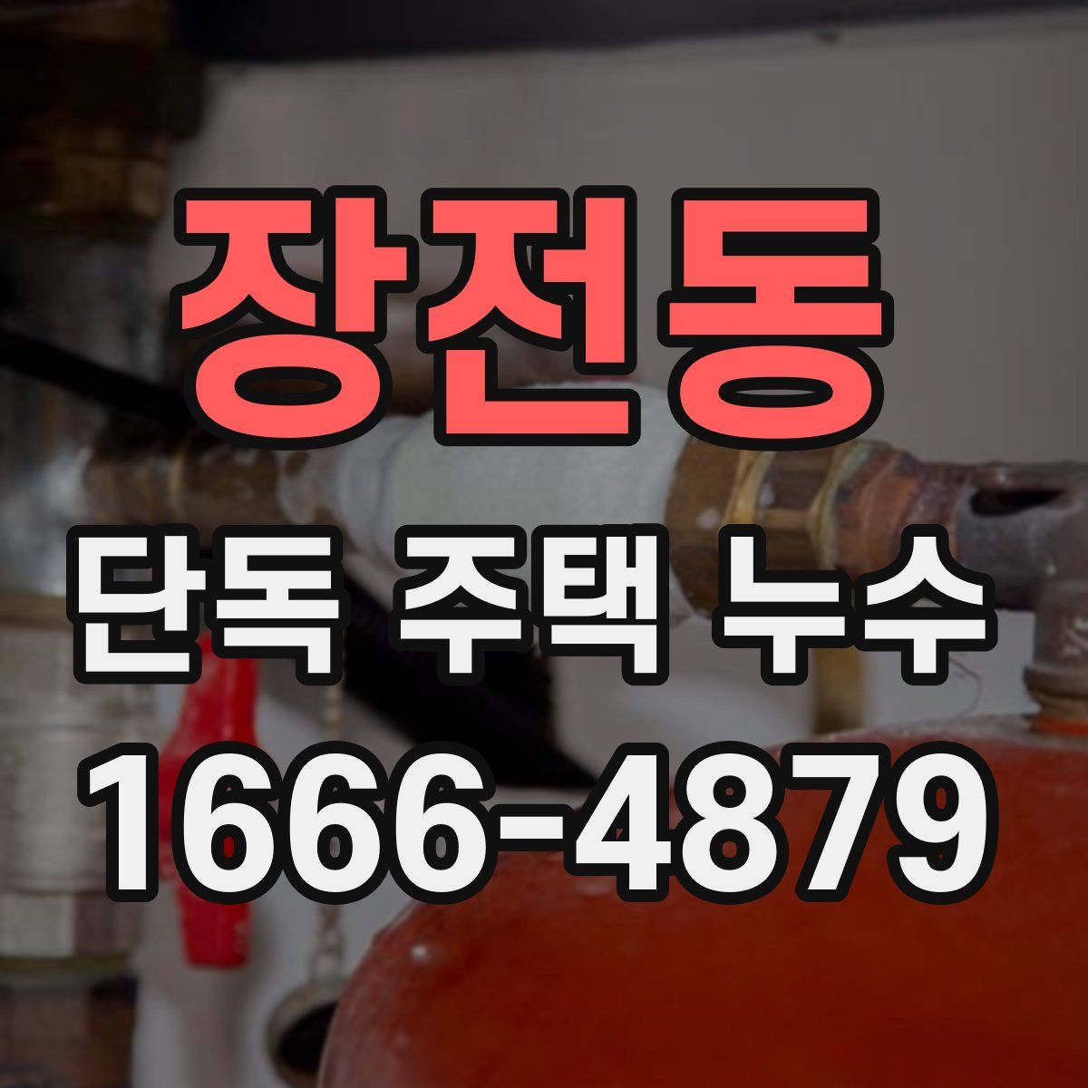 장전동 단독 주택 누수