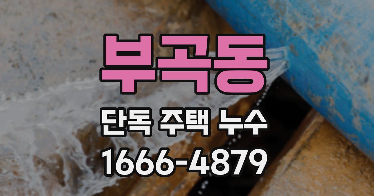 부곡동 단독 주택 누수
