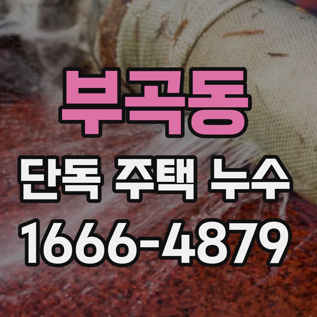 부곡동 단독 주택 누수