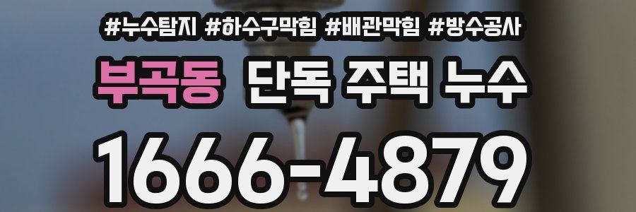 부곡동 단독 주택 누수