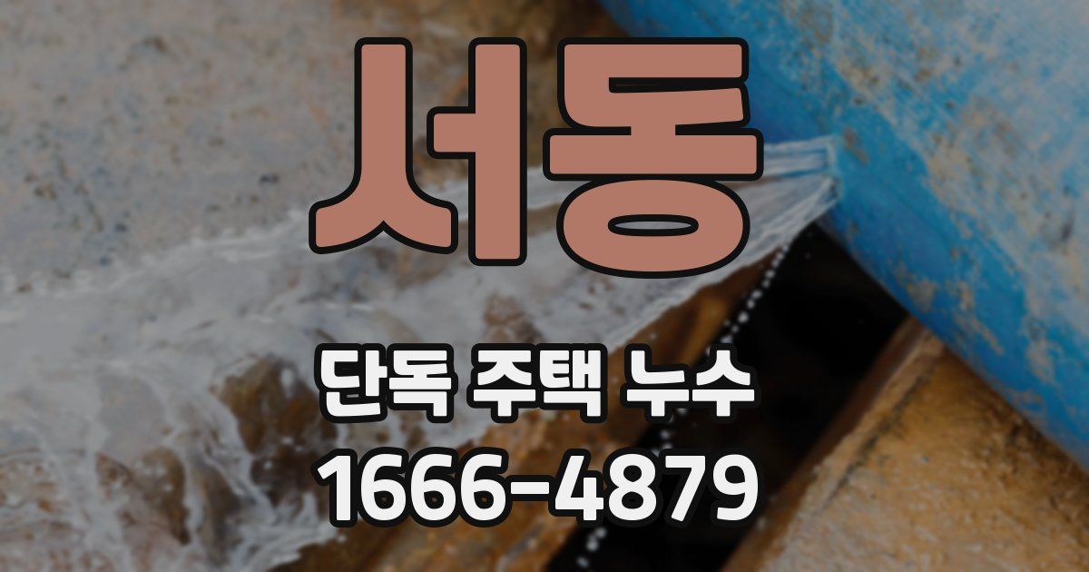 서동 단독 주택 누수