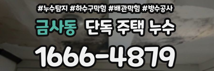 금사동 단독 주택 누수