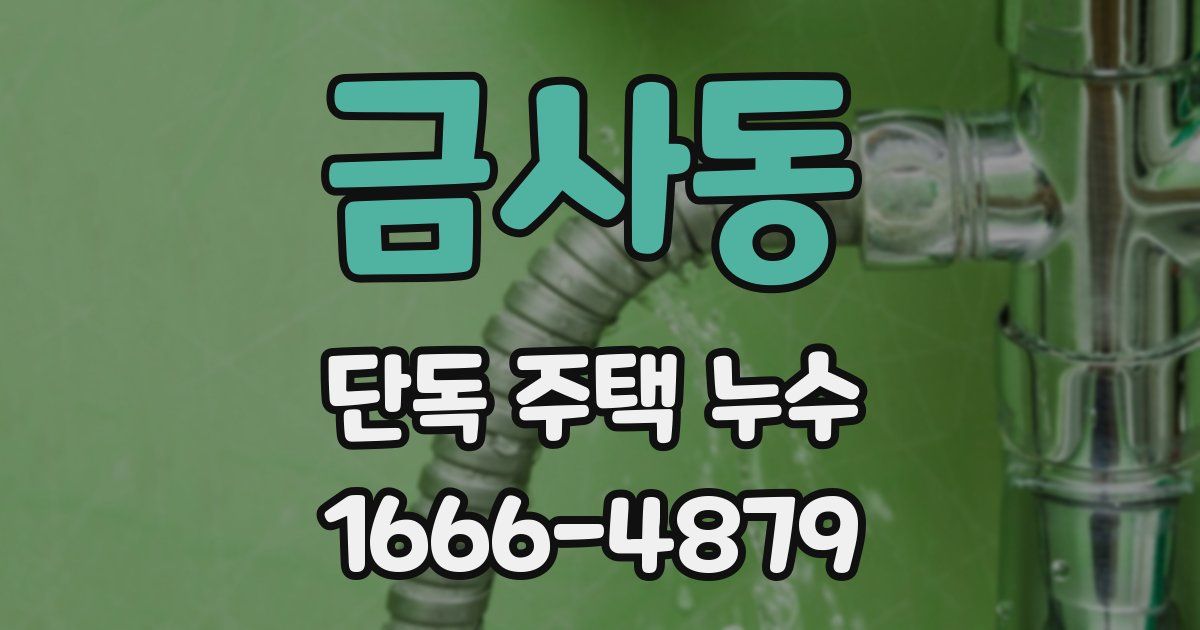 금사동 단독 주택 누수