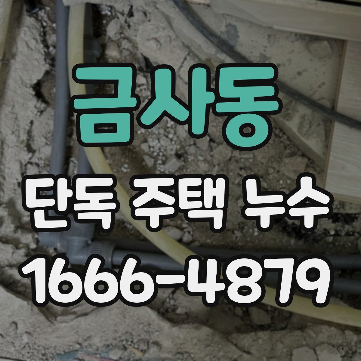 금사동 단독 주택 누수