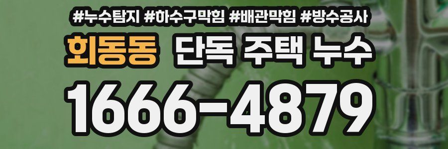 회동동 단독 주택 누수
