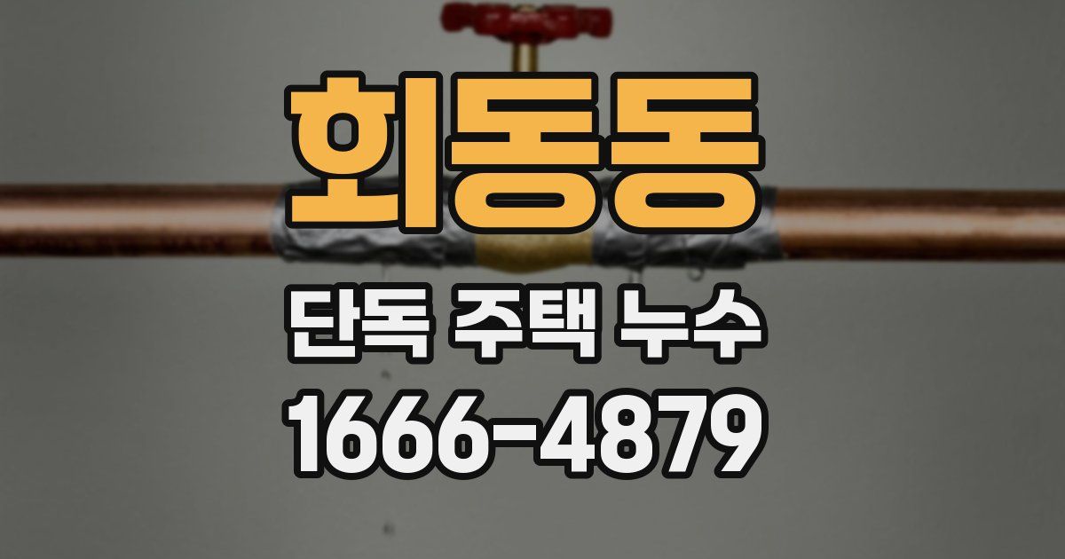 회동동 단독 주택 누수