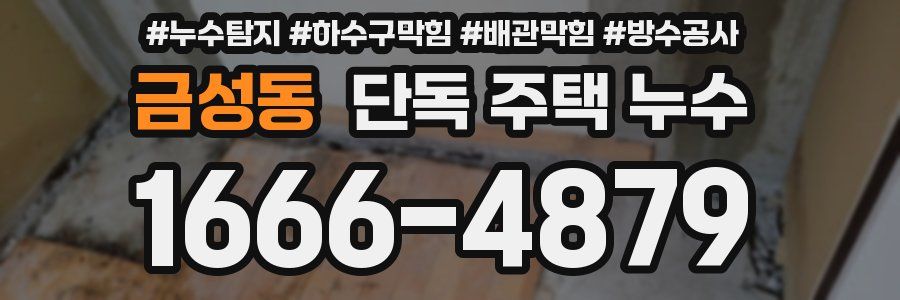 금성동 단독 주택 누수