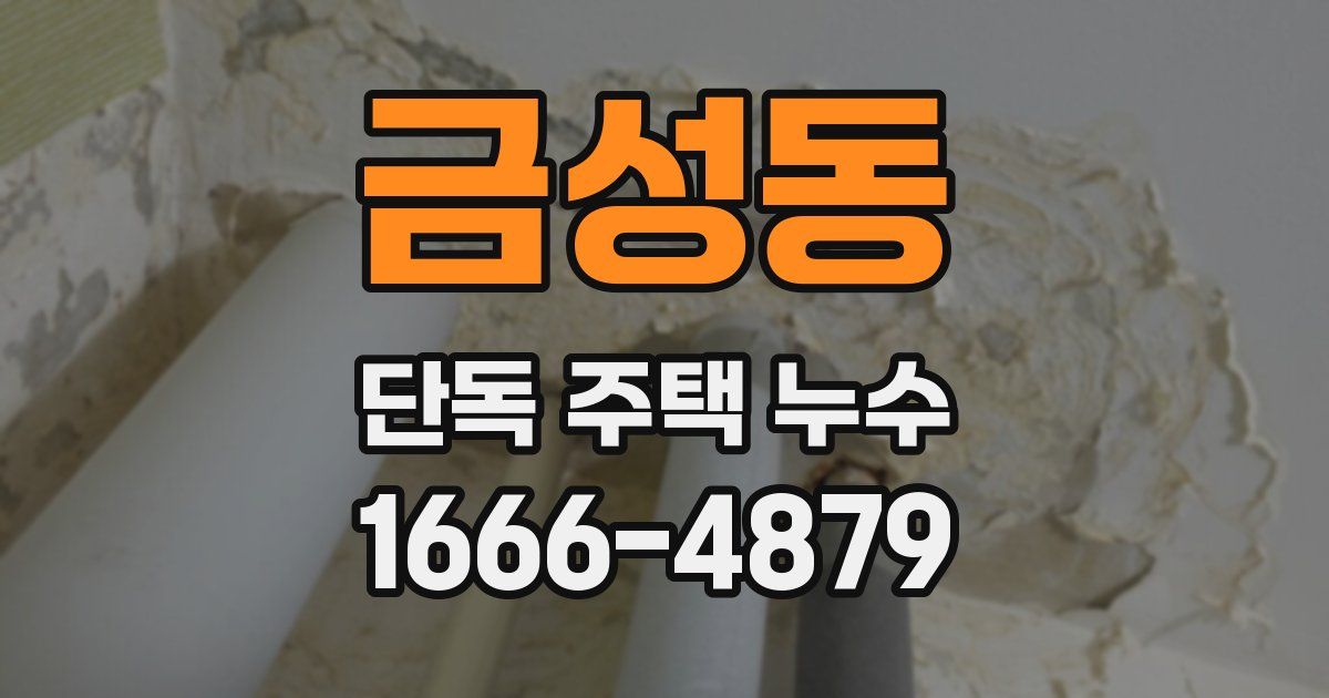 금성동 단독 주택 누수