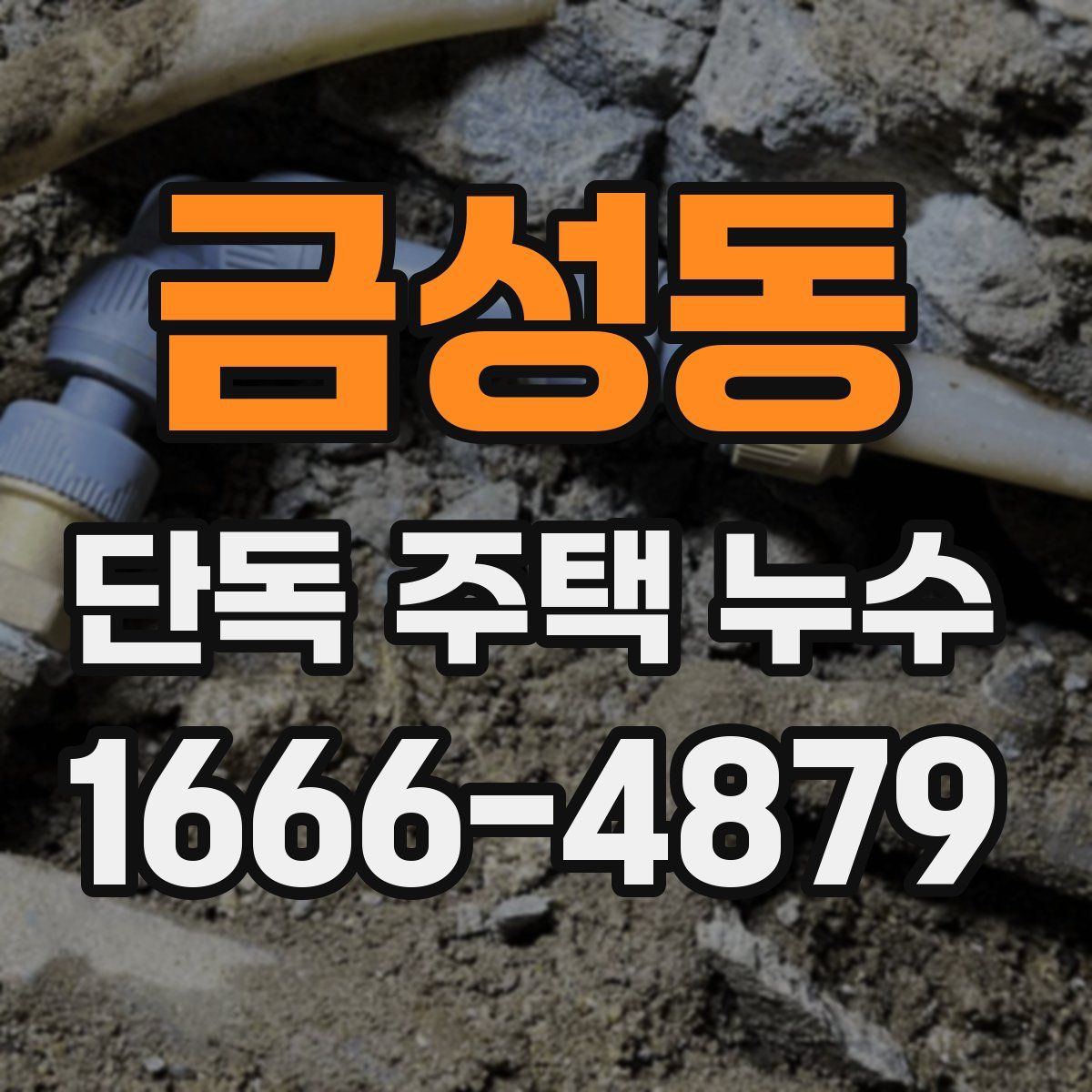 금성동 단독 주택 누수