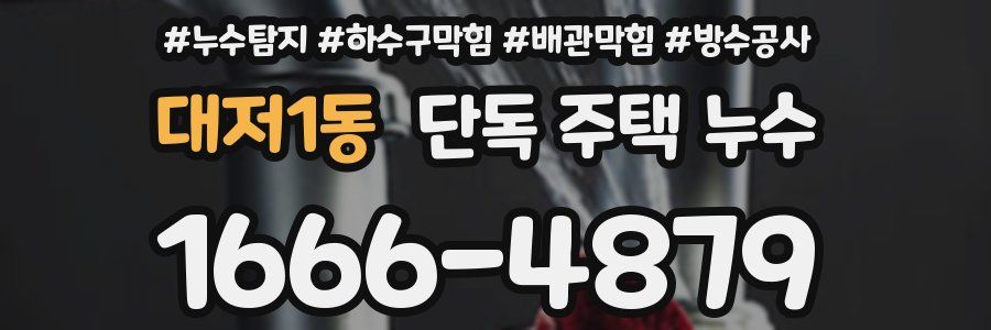 대저1동 단독 주택 누수