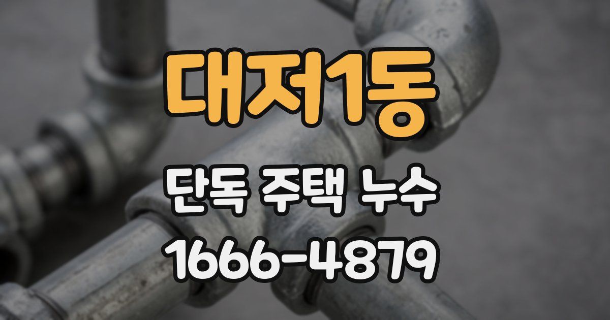 대저1동 단독 주택 누수