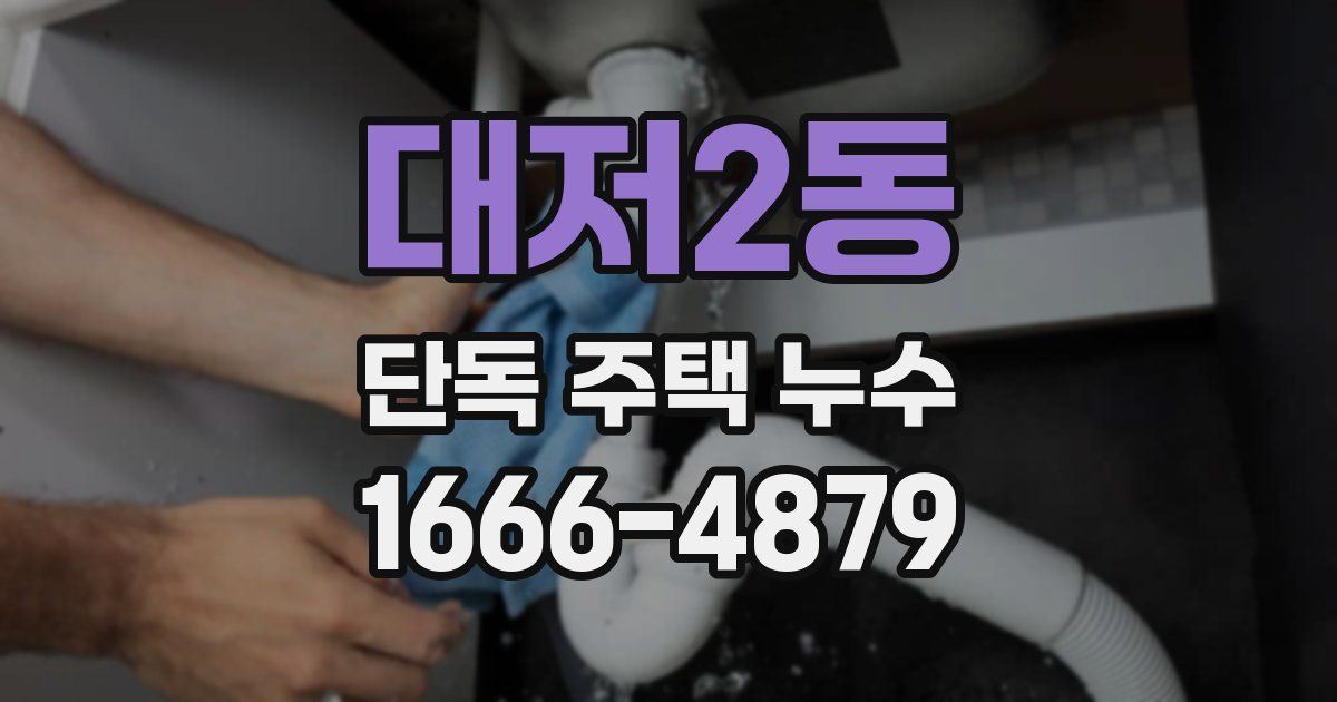 대저2동 단독 주택 누수