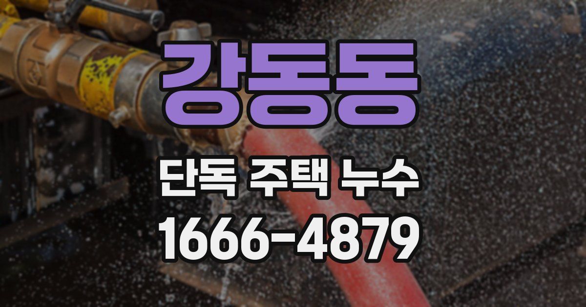 강동동 단독 주택 누수