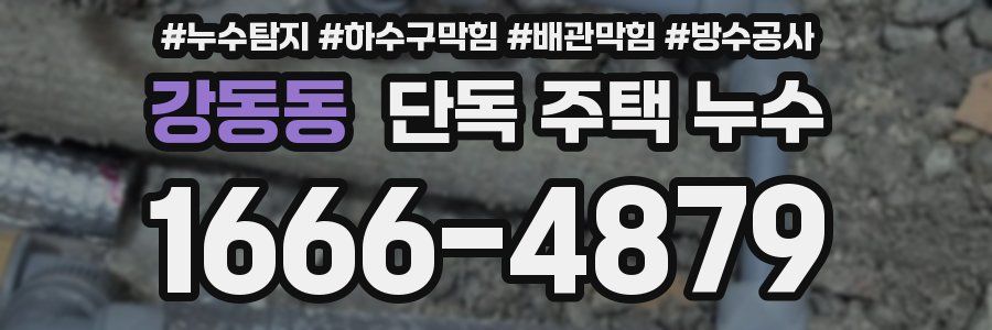 강동동 단독 주택 누수