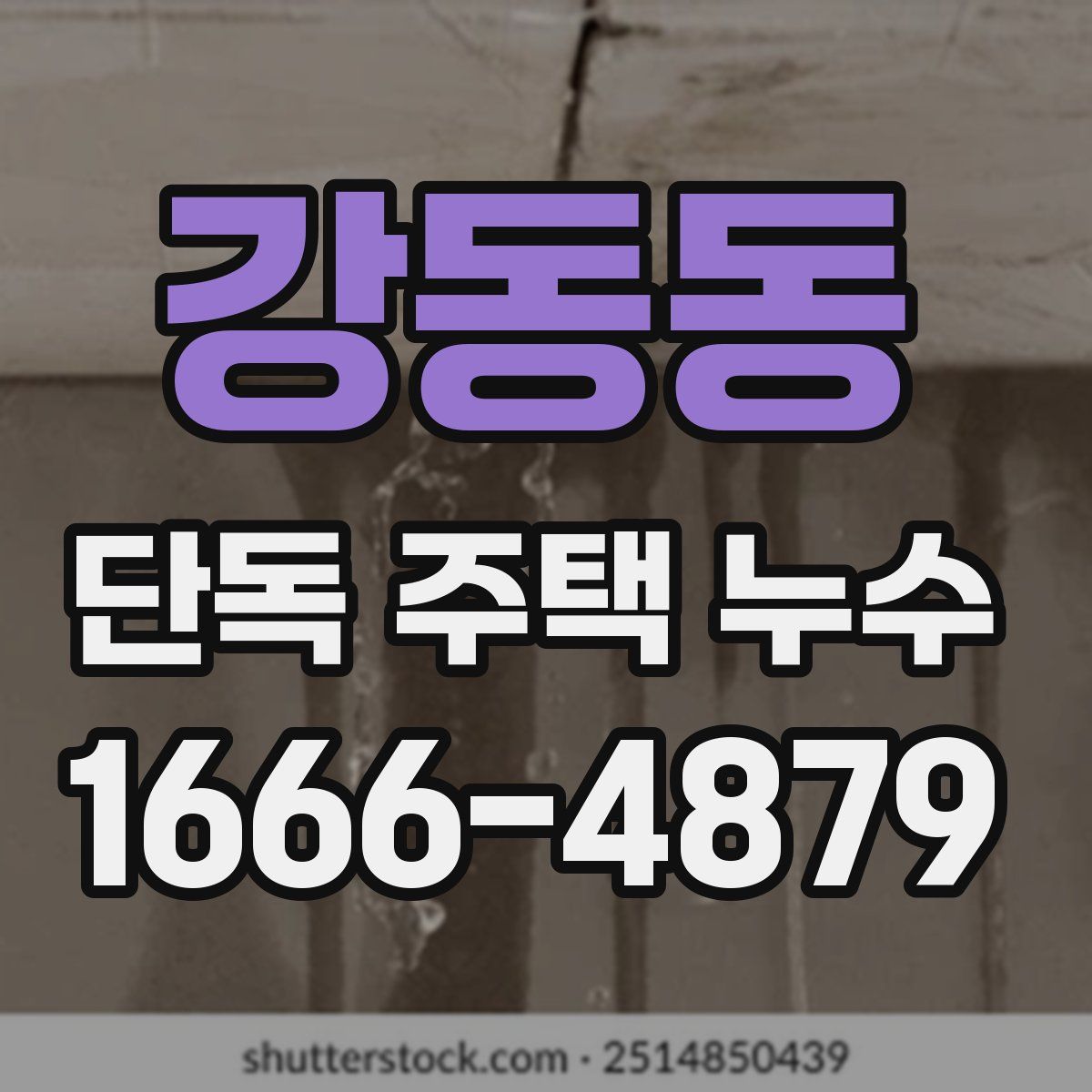 강동동 단독 주택 누수
